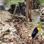 Diduga Proyek Irigasi Siluman, Pembangunan di Pamijahan Tanpa Papan Informasi dan Pengawasan